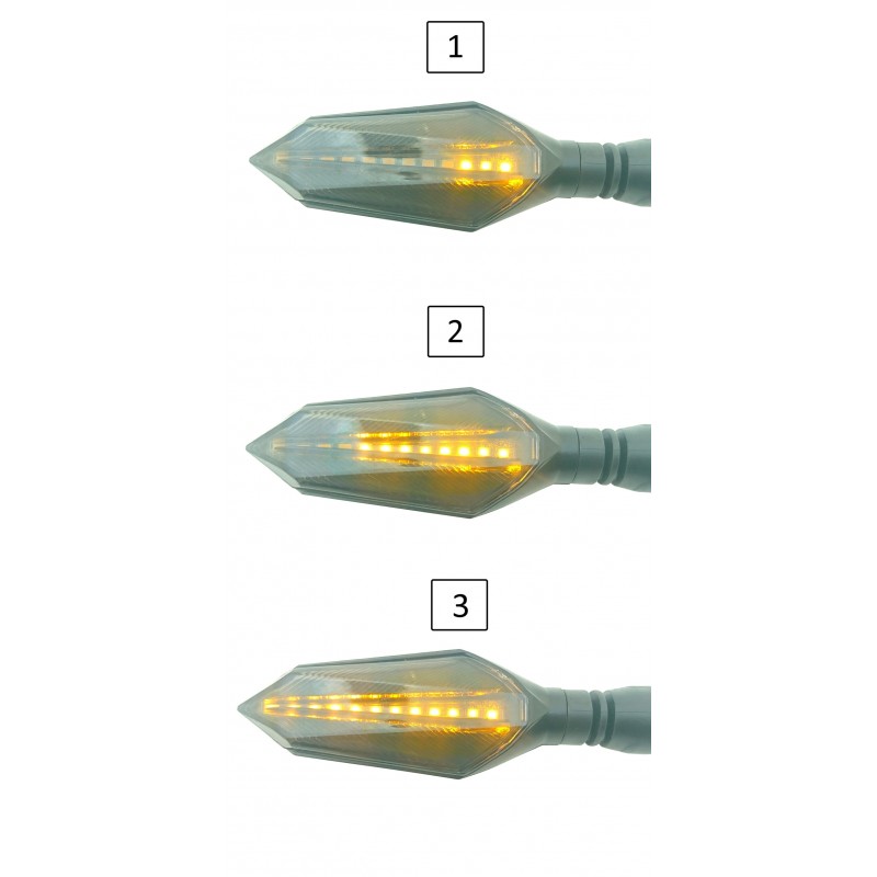 Φλάς μηχανής 12 SMD LED με κόκκινο πίσω φωτισμό σετ 2 τεμ. IP65 OEM Φλάς μηχανής ee3171