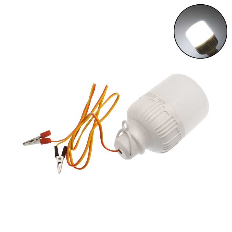 LED Λάμπα με κροκοδειλάκια 12W 12V ψυχρό λευκό 6500K 1000LM OEM